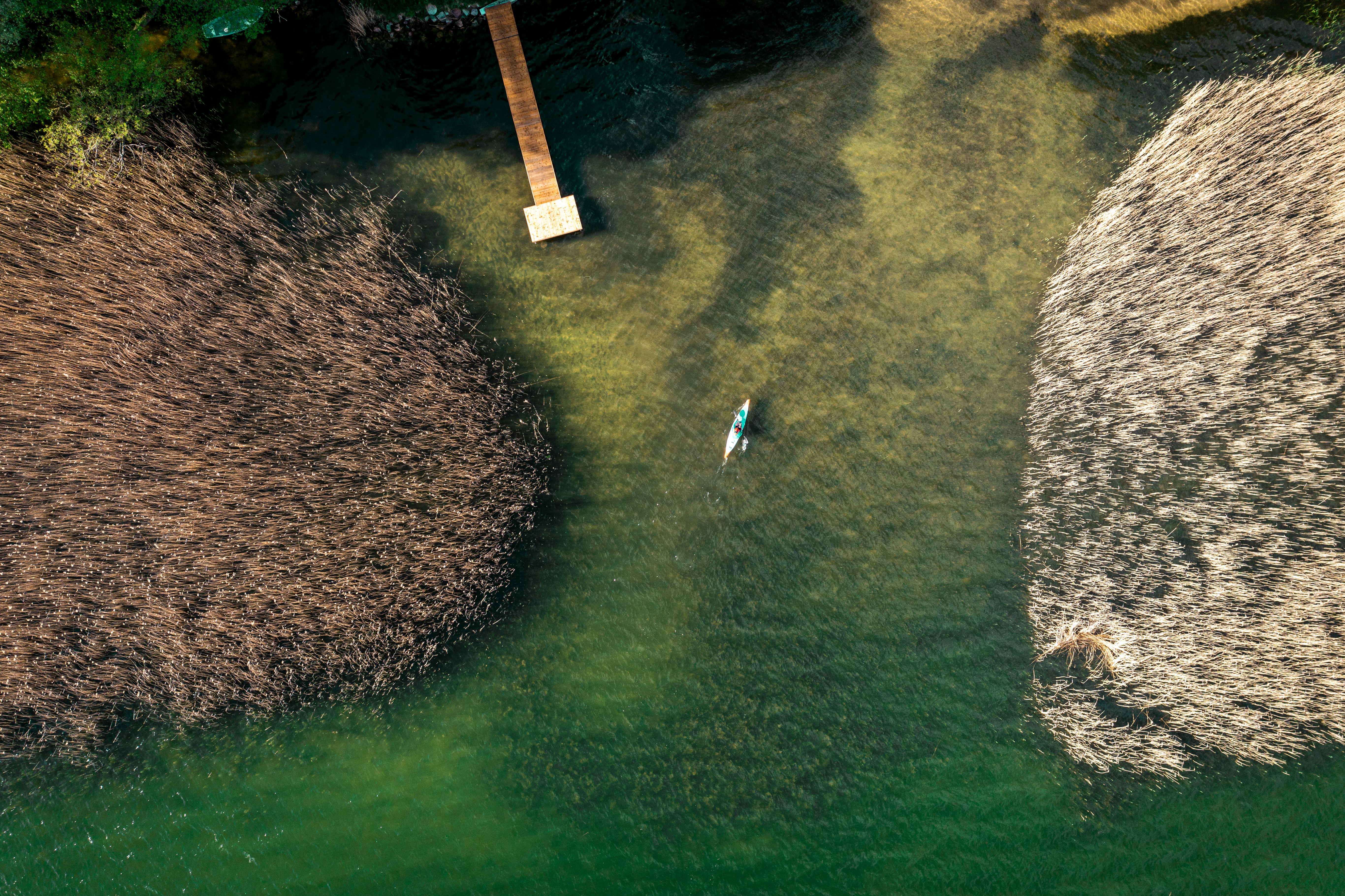 aerial view of people on green grass field during daytime